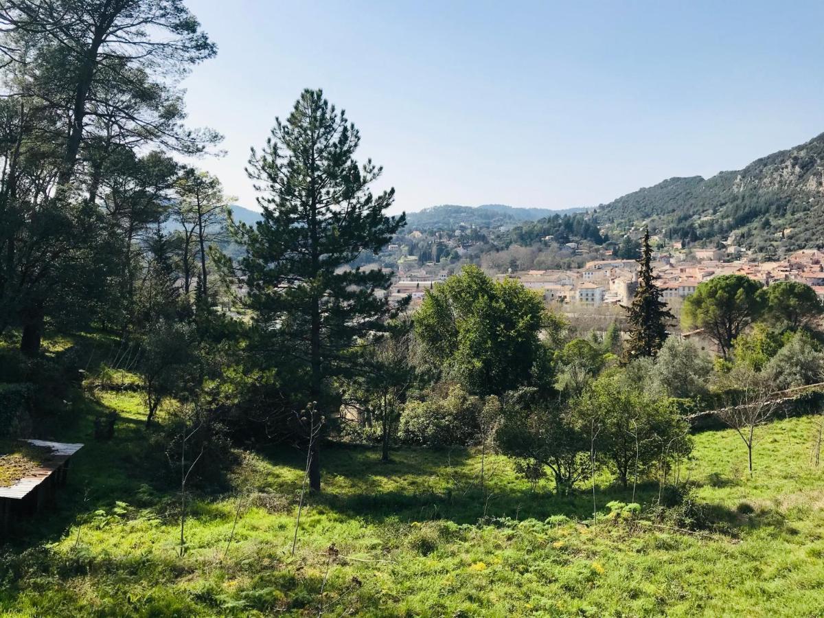 Les Montades Chambres D'Hotes Anduze Exterior foto